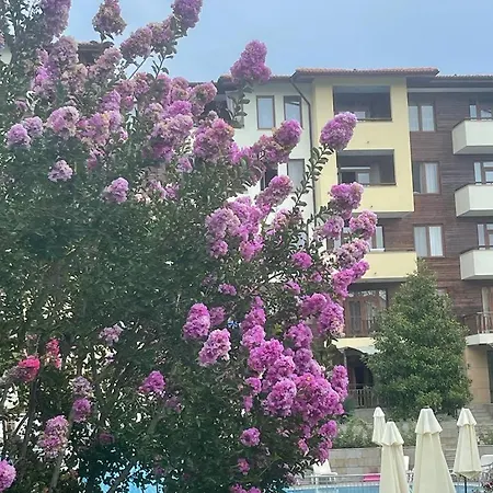 райска градина, Sveti Vlas, Silvia Apartment