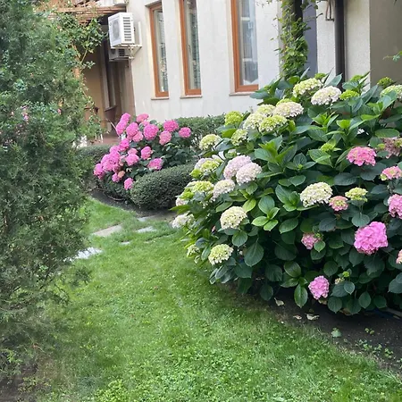 райска градина, Sveti Vlas, Silvia